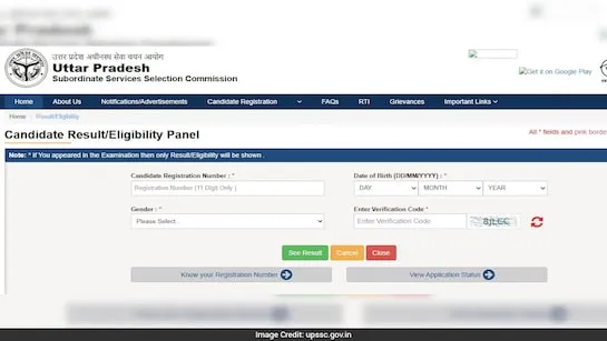 UP Lekhpal Cut Off 2024: 7,994 पदों के लिए 45 गुना अभ्यर्थी शॉर्टलिस्ट, जानें पूरी डिटेल